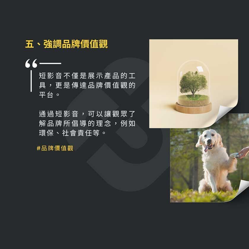 短影音如何有效傳達品牌故事